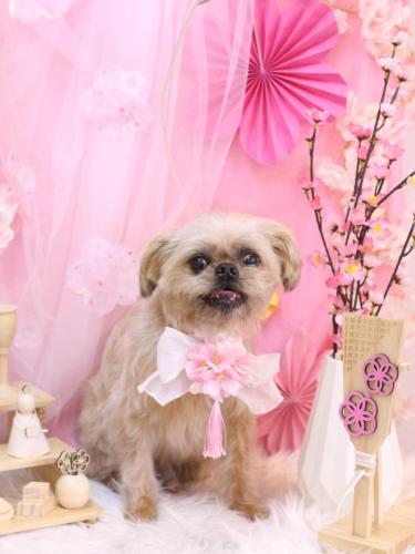 20250330ムーくん